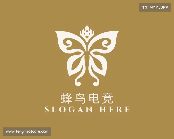 解读蜂鸟电竞